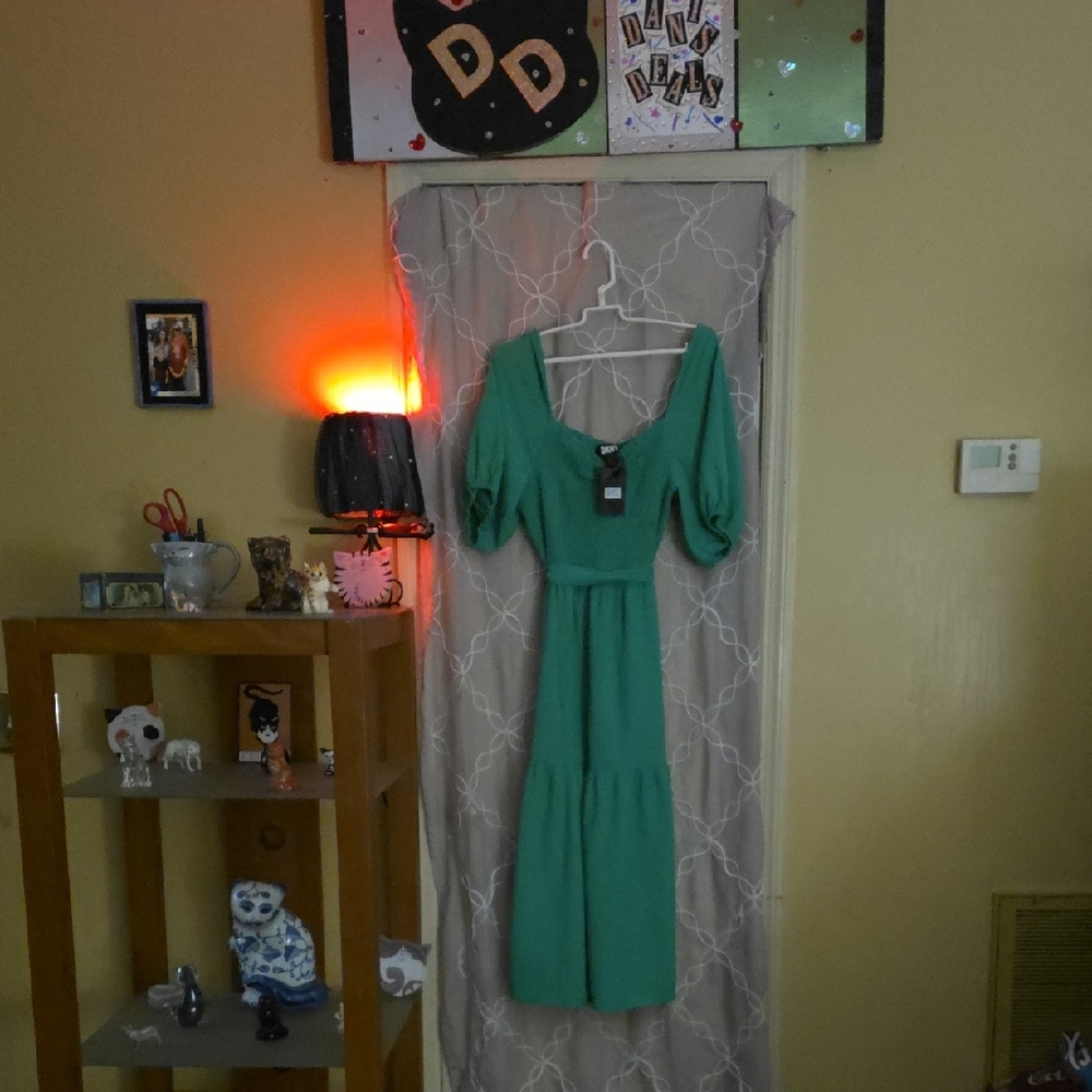 DKNY Elegant Long Sleeve Dress in Spring Green